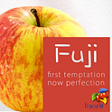 Příchuť FlavourArt: Jablko (Fuji) 10ml