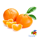 Příchuť FlavourArt: Mandarinka (Mandarin) 10ml